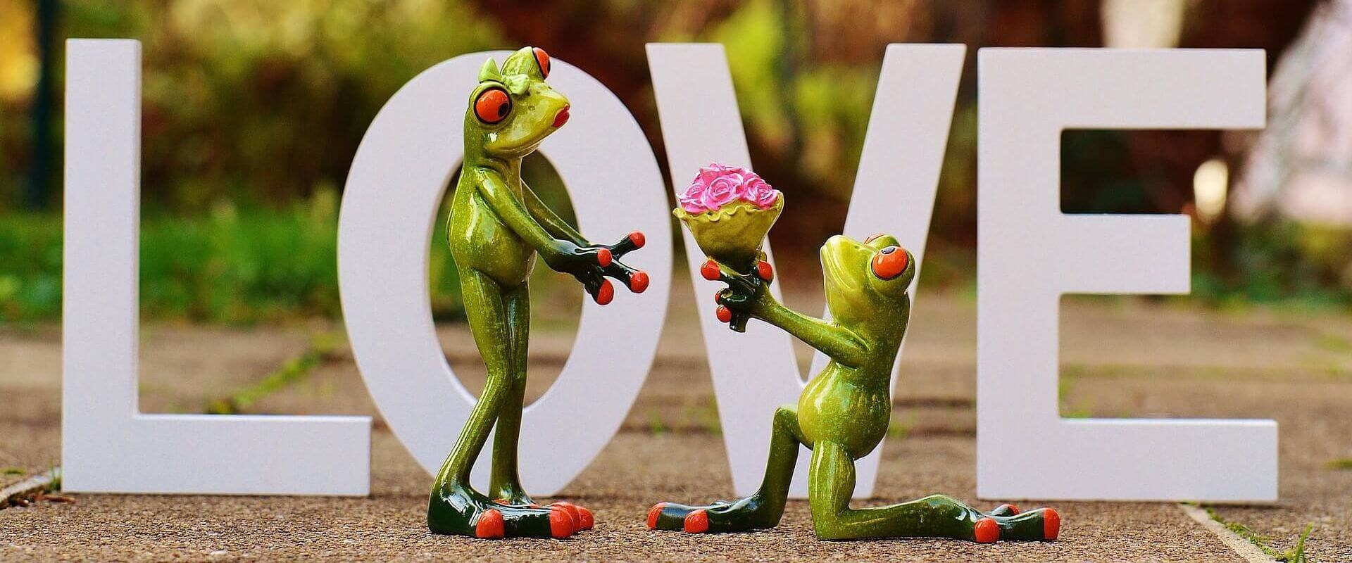 Live-Gesang für Heiratsantrag. Auf dem Bild macht ein männlicher Frosch einer weiblichen Froschdame einen Heiratsantrag. Er hält einen Strauß Blumen in den Händen.