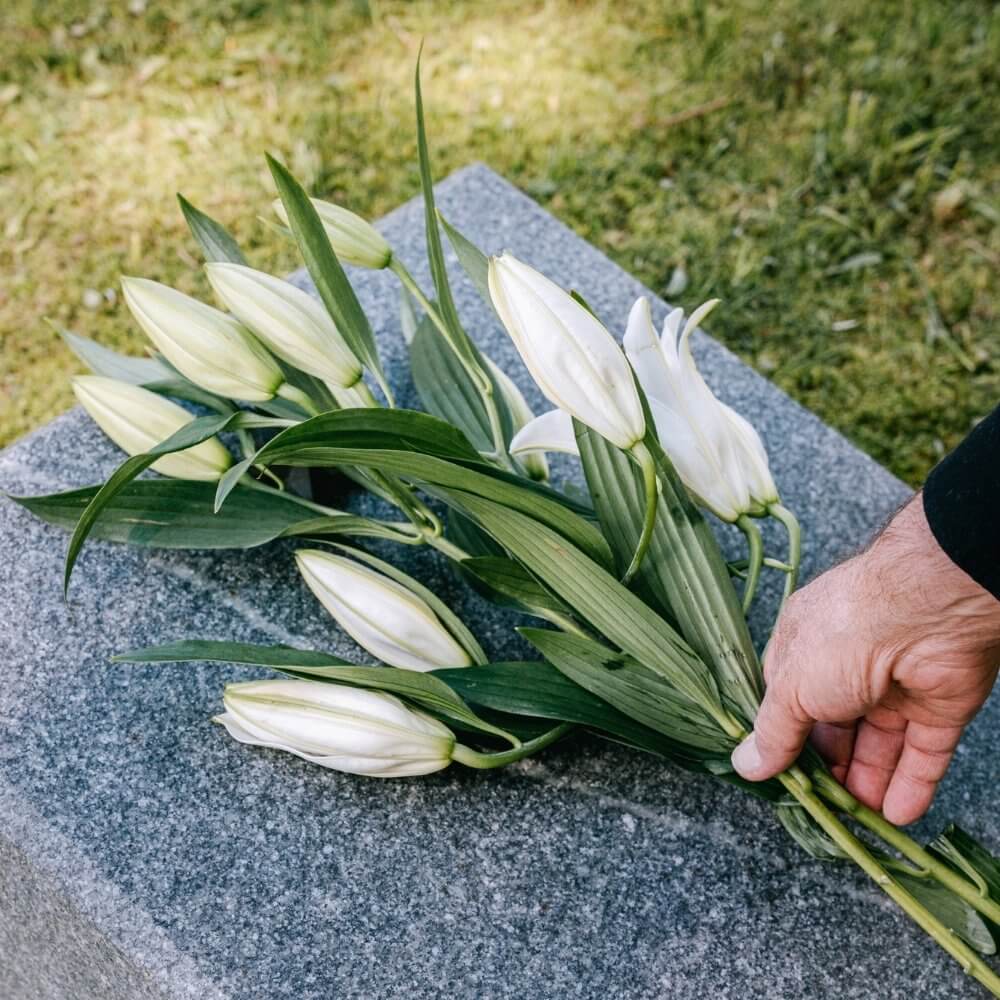 Sängerin für die Beerdigung - Gefühlvoller Abschied. Eine Hand legt weiße Blumen auf einen Grabstein.