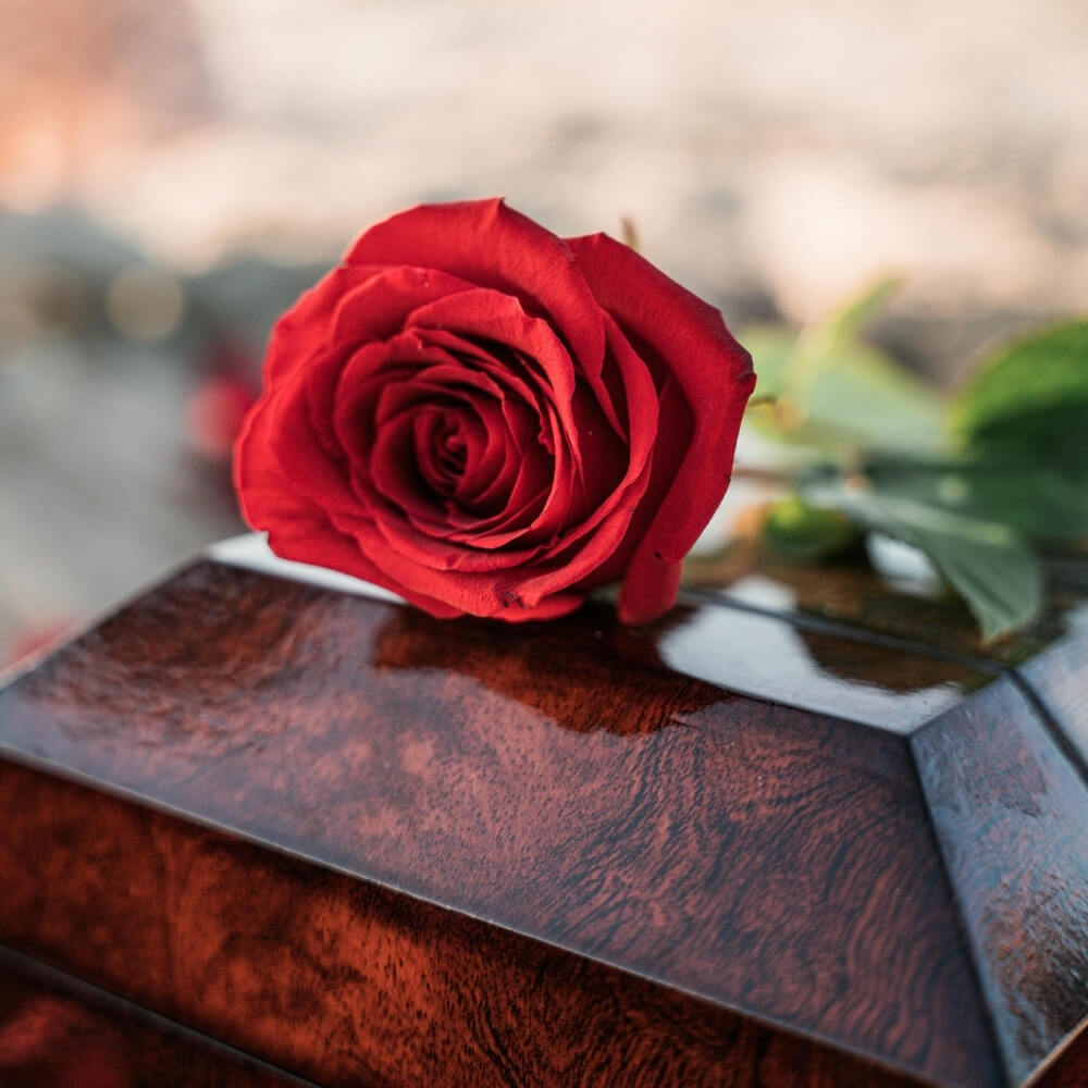Eine rote Rose liegt auf einem brauen mit Glanzlack versehenem Sarg.
